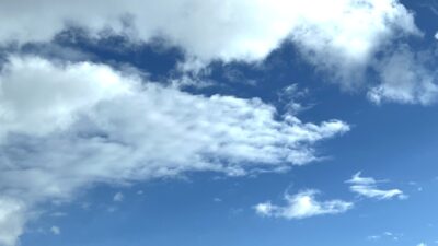 なぜか気になる